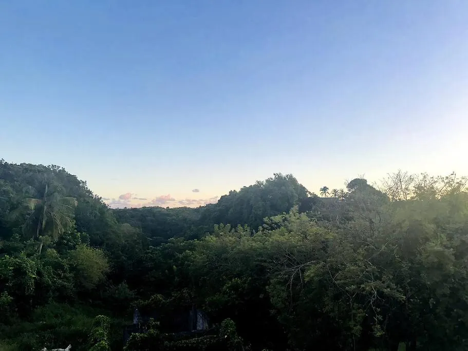 L'Ecrin De Verdure Sainte-Anne